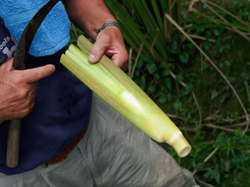 LM-3608_R